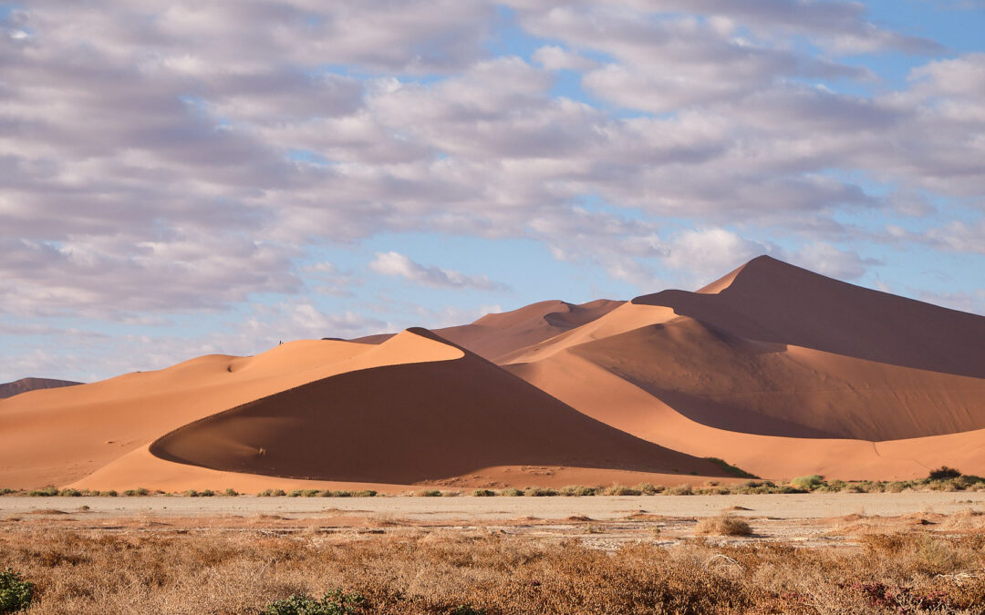 Namib desert
