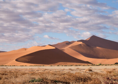 Namib desert